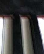 677017_90368_profile