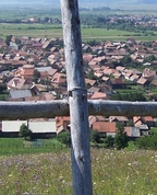 677582_11911_profile