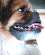 681085_51297_profile