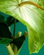 688309_85838_profile