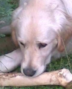 696275_45170_profile