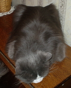 696573_40447_profile