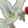 696943_42626_mini