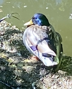 697329_60554_profile