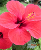 698368_27853_profile