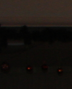 698654_26091_profile