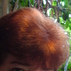 609792_30545_tiny