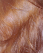 711557_95934_profile