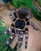 712000_16619_profile