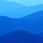 717280_67310_card