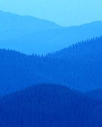 717280_67310_profile