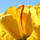 717624_75425_mini