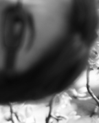 717958_12204_profile
