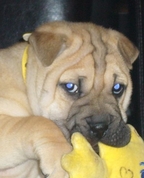 720123_84212_profile