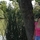 744011_72916_mini