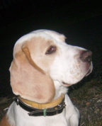 740493_14124_profile