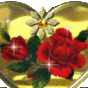 755285_69242_card