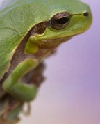 755366_80390_profile