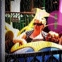 757026_93225_card