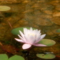 757207_96961_card