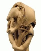 757609_87839_profile