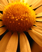 767449_92543_profile