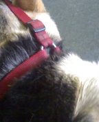 706016_22813_profile