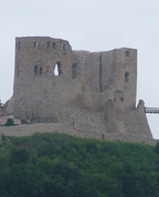 772452_81103_profile