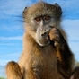 776064_46261_card