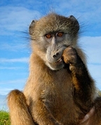 776064_46261_profile