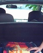 707192_21068_profile