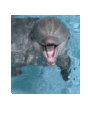 707304_99293_card