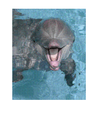 707304_99293_profile