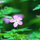 770334_63554_mini