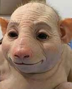 770499_90356_profile
