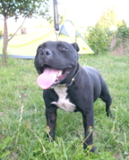 77615_286574_profile