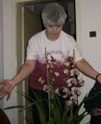 788611_33849_profile