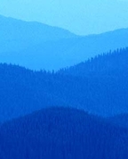 793608_30197_profile