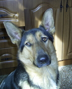 790658_79825_profile