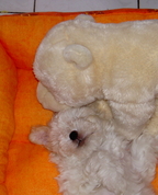 811685_37099_profile
