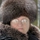 811969_26642_mini