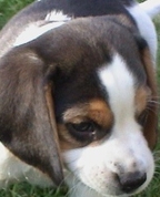 801641_36152_profile