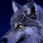 822213_44342_card