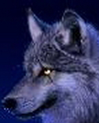 822213_44342_profile