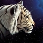 822299_83203_card