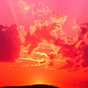 822561_96837_card