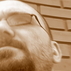 822624_99330_tiny