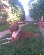 822722_75562_profile