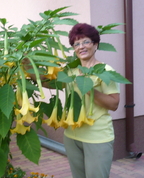823821_45033_profile