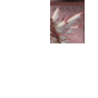 825540_34063_card